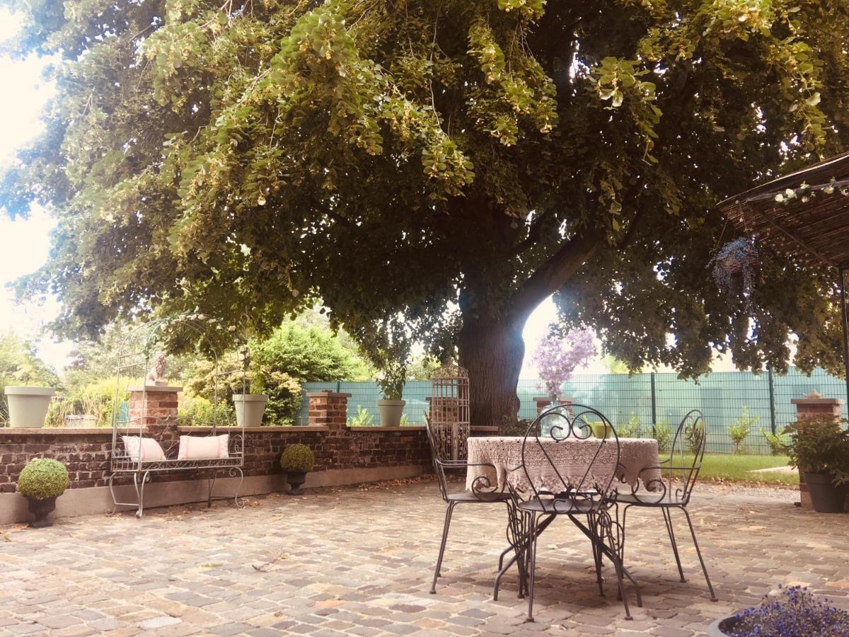 Lys-lez-Lannoy La Villa Des Roses - Suite & Spa מראה חיצוני תמונה