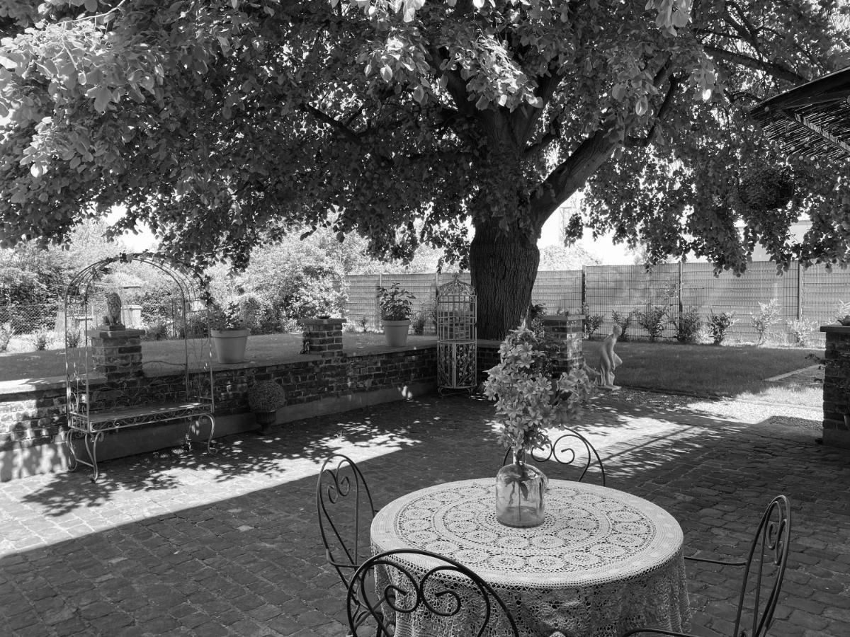 Lys-lez-Lannoy La Villa Des Roses - Suite & Spa מראה חיצוני תמונה